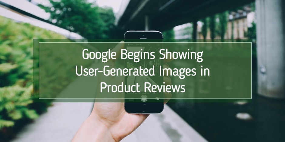 person taking a user-generated image outside in greenery