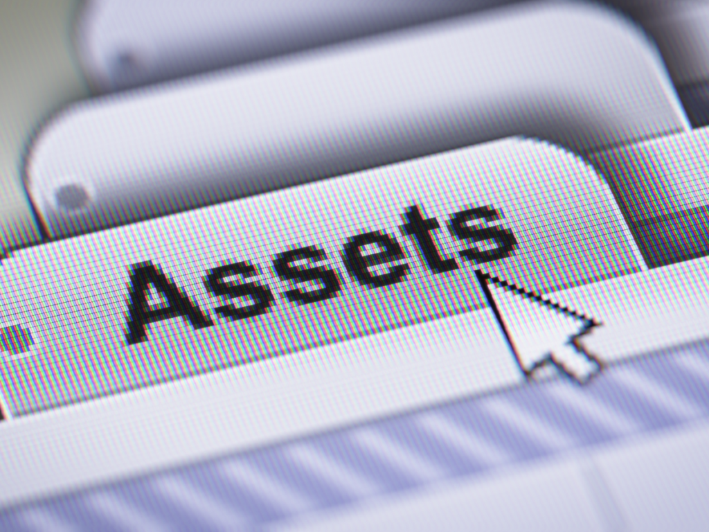 Assets open in web browser