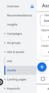 Assets tab