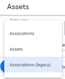 An assets Google Ads Tab