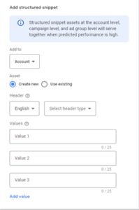Structured snippet tab