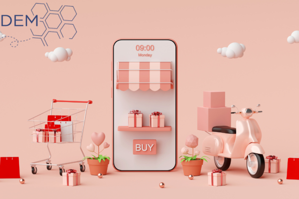 Use E-Commerce SEO Services to Optimize Your Online Store