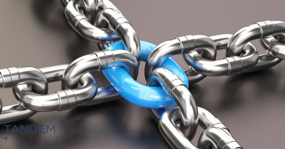 The Impacts of Link Building on SEO